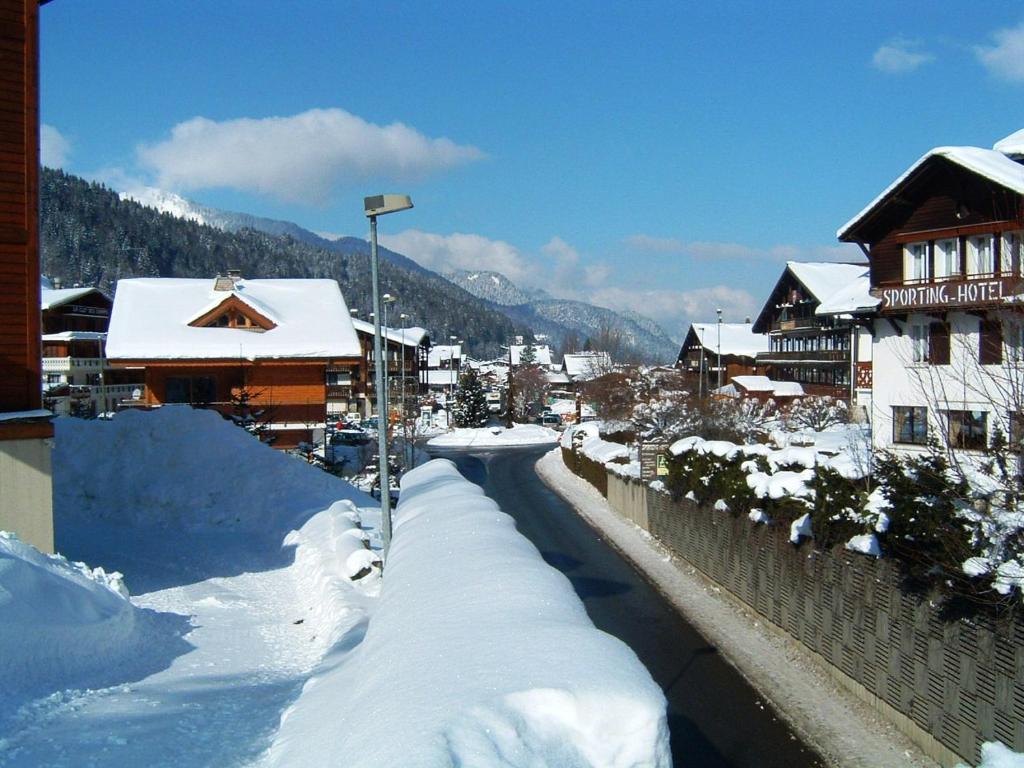 Chalet Leslie appartement pied des pistes 19