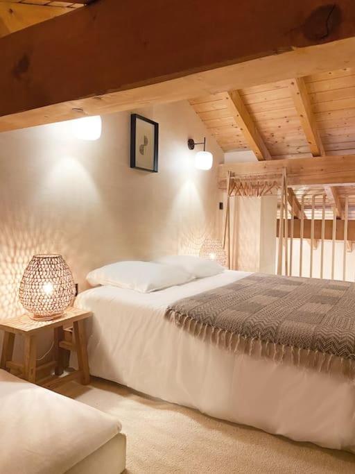 Chalet Meleze skis aux pieds Alpes Sainte Foy station 1550 chalet pied des pistes 1
