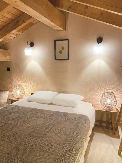 Chalet Meleze skis aux pieds Alpes Sainte Foy station 1550 chalet pied des pistes 6