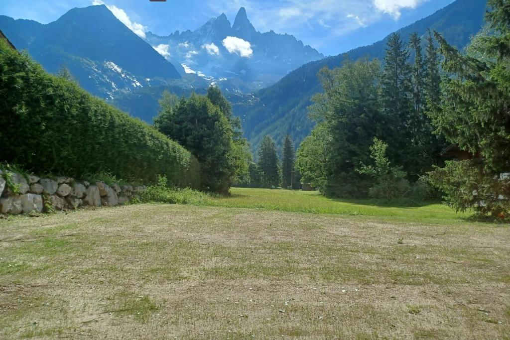 Chalet Mitoyen pour 8 avec BALCON et JARDIN chalet pied des pistes 18