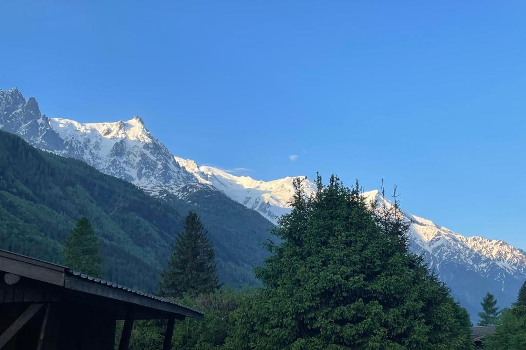 Chalet Mitoyen pour 8 avec BALCON et JARDIN chalet pied des pistes 19