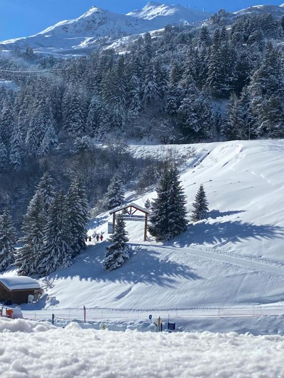 Chalet Olympie Appartement avec balcon et vue montagne ski aux pieds Meribel Mottaret appartement pied des pistes 19