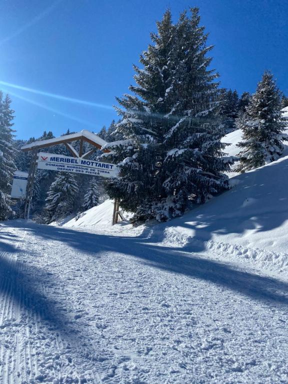 Chalet Olympie Appartement avec balcon et vue montagne ski aux pieds Meribel Mottaret appartement pied des pistes 7