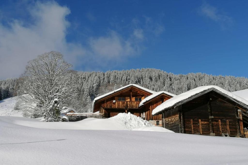 Chalet at the foot of the Nordic domain chalet pied des pistes 14