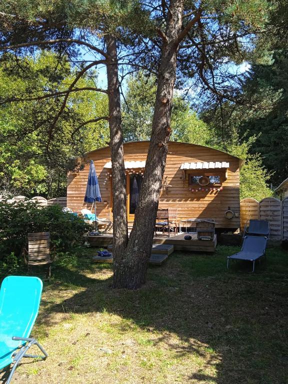 Chalet grenouille Domaine de la Mamounette gite pied des pistes 4