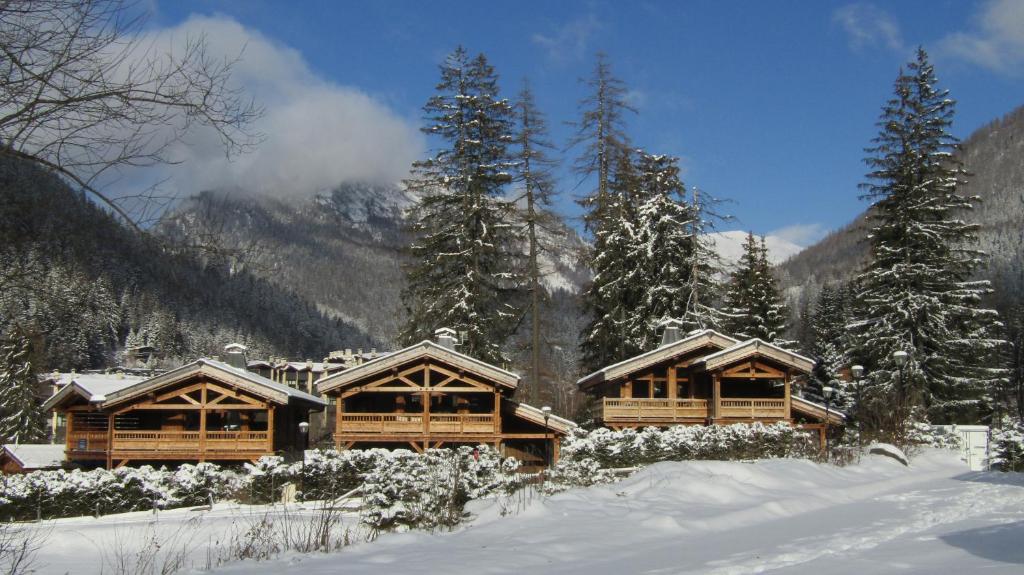 Chalets Grands Montets chalet pied des pistes