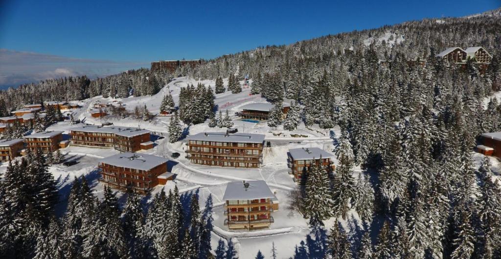 Charmant appartement confortable pour 6 personnes 40m2 pied pistes wifi parking appartement pied des pistes 5