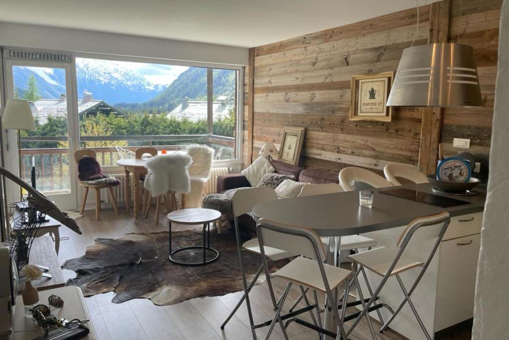 Charmant appt avec BALCON et PISCINE a Argentiere appartement pied des pistes 2