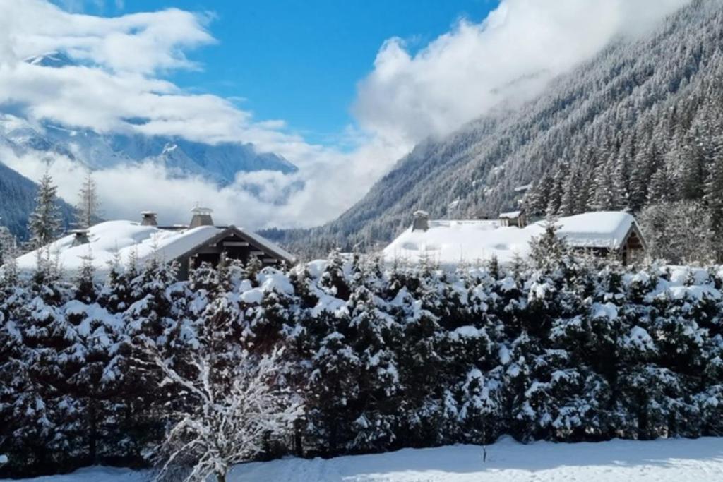 Charmant appt avec BALCON et PISCINE a Argentiere appartement pied des pistes 9
