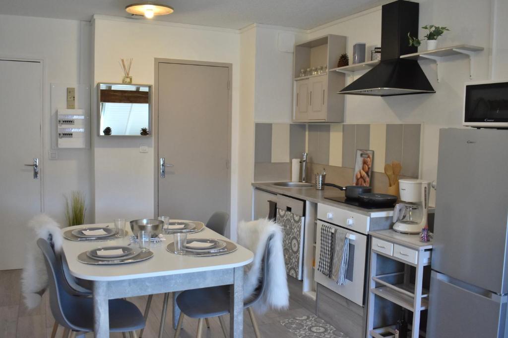 Charmant studio le petit gris des montagnes appartement pied des pistes 9
