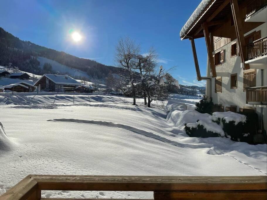 Charming Bright Spacious Village Walk to lift Hike appartement pied des pistes 10