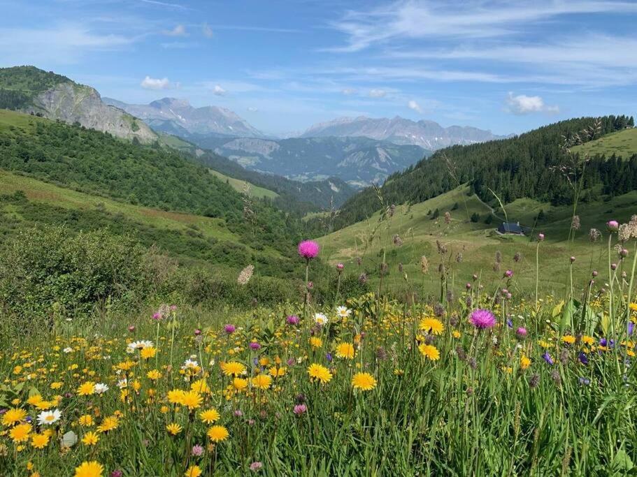 Charming Bright Spacious Village Walk to lift Hike appartement pied des pistes 12