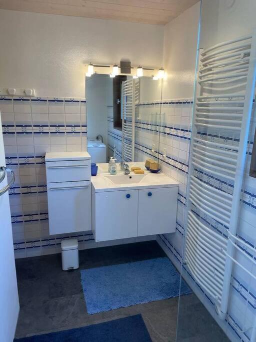Charming Bright Spacious Village Walk to lift Hike appartement pied des pistes 17