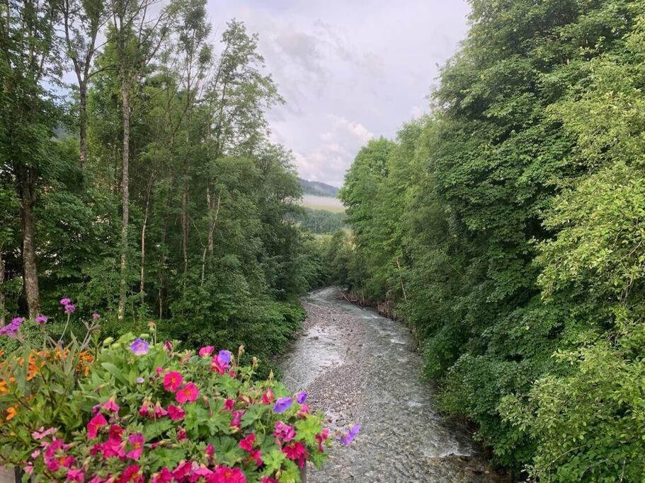Charming Bright Spacious Village Walk to lift Hike appartement pied des pistes 6