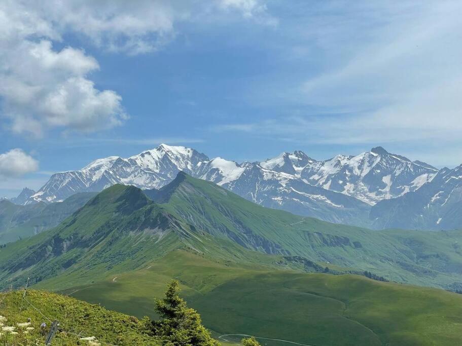 Charming Bright Spacious Village Walk to lift Hike appartement pied des pistes 8