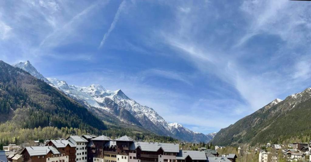 Confortable appt de 55 m avec BALCON VUE appartement pied des pistes 10