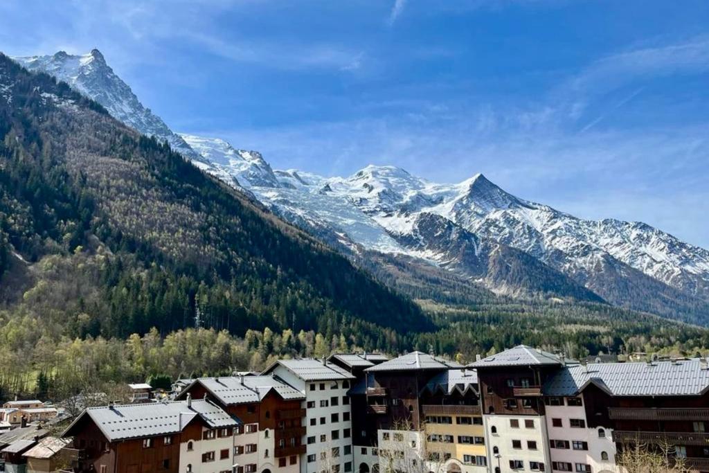 Confortable appt de 55 m avec BALCON VUE appartement pied des pistes