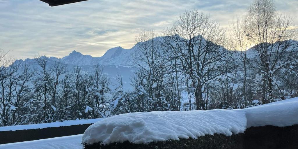 Cosy 30m in the heart of Combloux appartement pied des pistes 11
