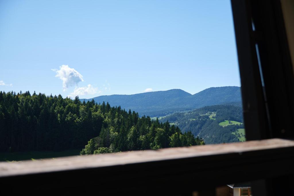Cosy and nice view on mountains appartement pied des pistes 17
