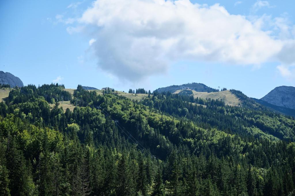Cosy and nice view on mountains appartement pied des pistes 9