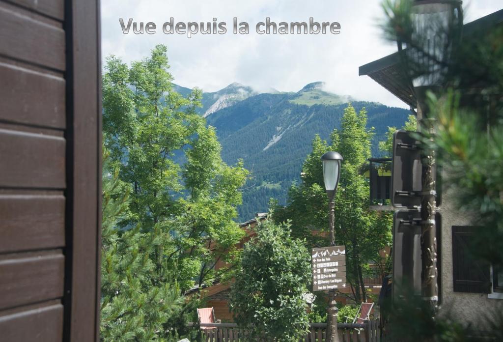 Courchevel 1550 – VERITABLE SKI AUX PIEDS – APPARTEMENT LES TOVETS T2 – 47m2 – 4P appartement pied des pistes 18