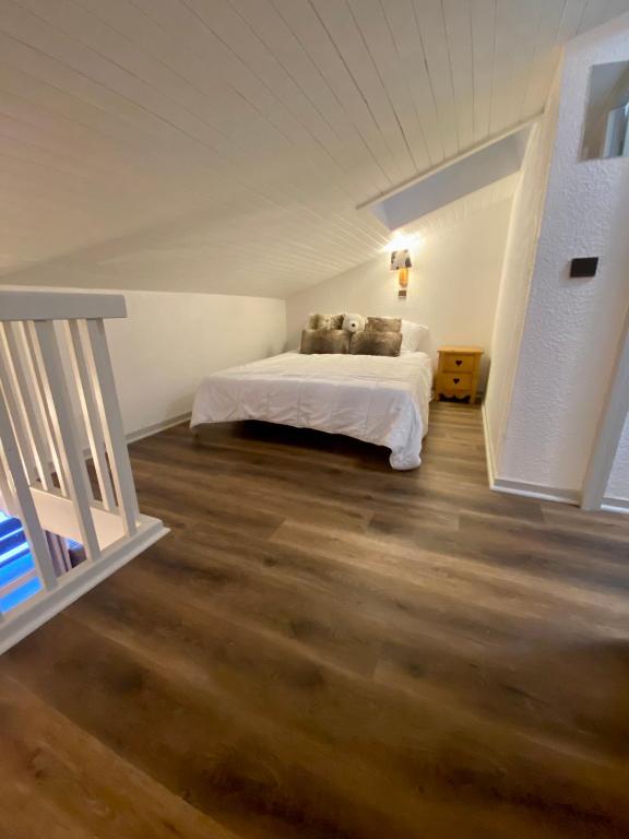 DUPLEX 6P A BELLE PLAGNE 2050 m SKIS AUX PIEDS EN PLEIN COEURS DE LA STATION RESIDENCE LE BERYL. appartement pied des pistes 3