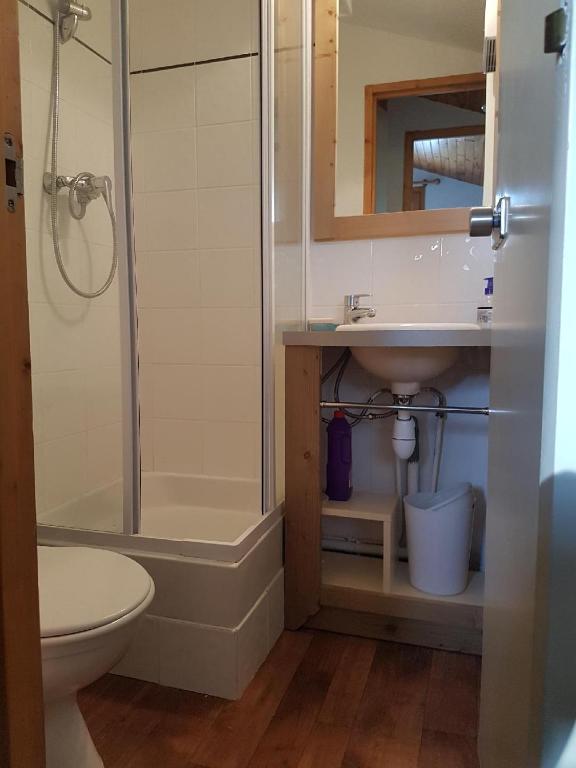 DUPLEX 6P A BELLE PLAGNE 2050 m SKIS AUX PIEDS EN PLEIN COEURS DE LA STATION RESIDENCE LE BERYL. appartement pied des pistes 5