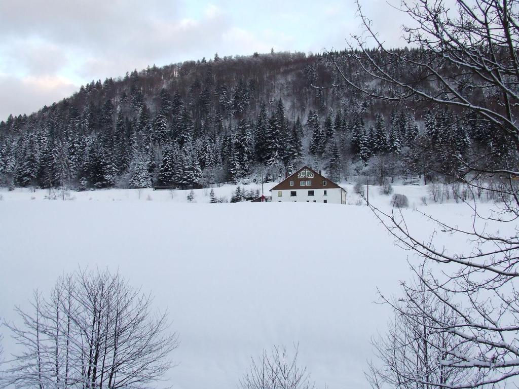 Domaine Des Hauts Viaux hotel pied des pistes 15