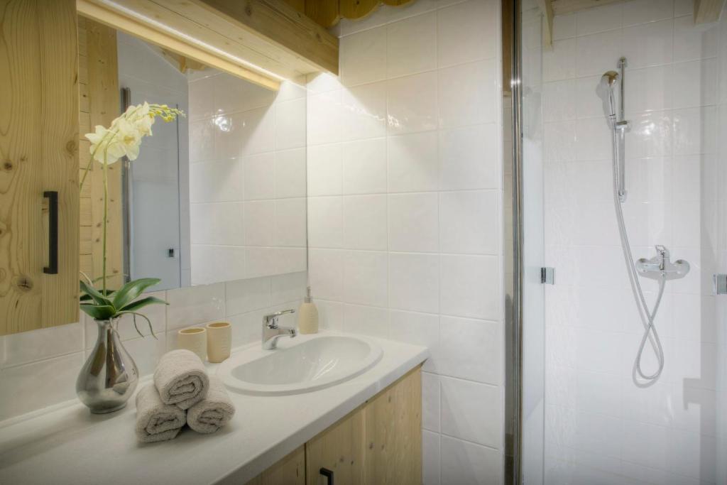 Dorealp OVO Network appartement pied des pistes 18