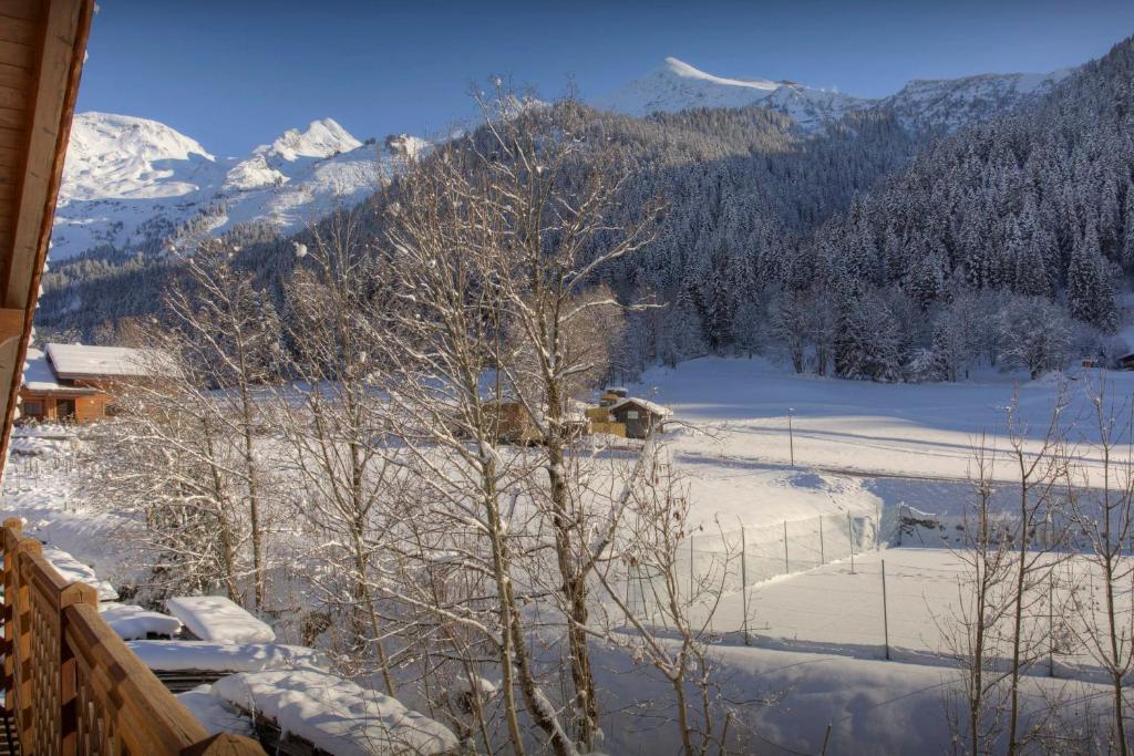 Dorealp OVO Network appartement pied des pistes 5
