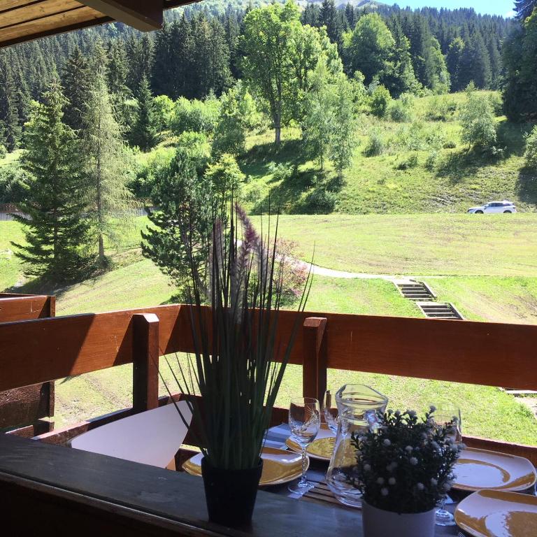 Duplex Apartment Right At The Ski Lift Tracks appartement pied des pistes 17