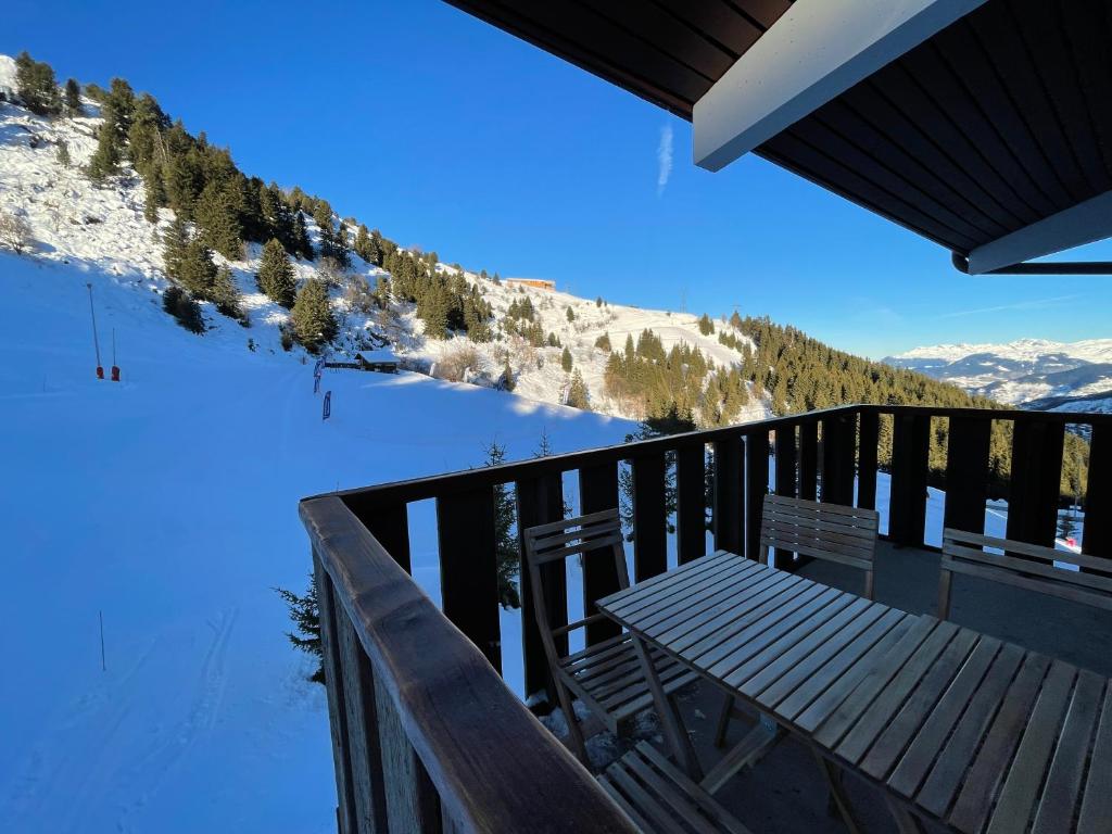Duplex Plein sud Pied des pistes 50m2 Mottaret appartement pied des pistes 18