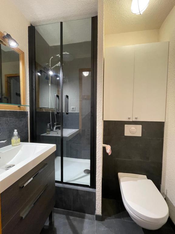 Duplex Plein sud Pied des pistes 50m2 Mottaret appartement pied des pistes 7