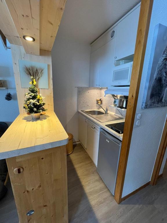 Duplex la Plagne Montalbert appartement pied des pistes 9