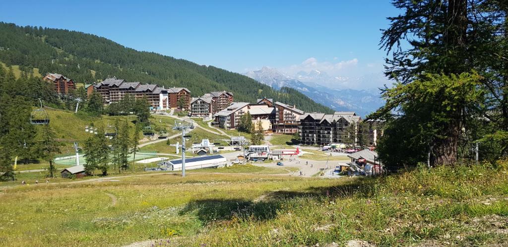 Duplex residence ALDEBARAN RISOUL 3 pieces 8 personnes appartement pied des pistes 5