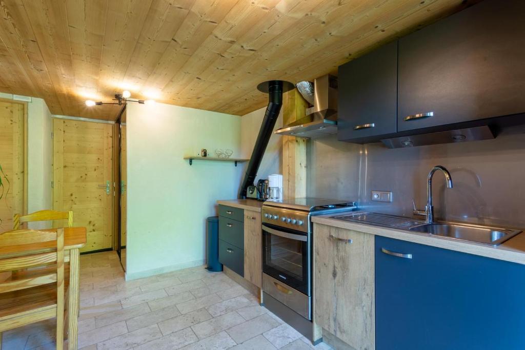 Eco gite Dans Chalet Neuf Au Pied appartement pied des pistes 3