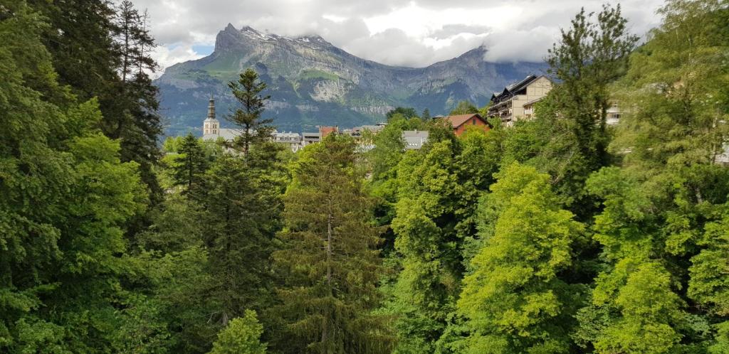 Elegant et moderne au pied du Mont Blanc appartement pied des pistes 5