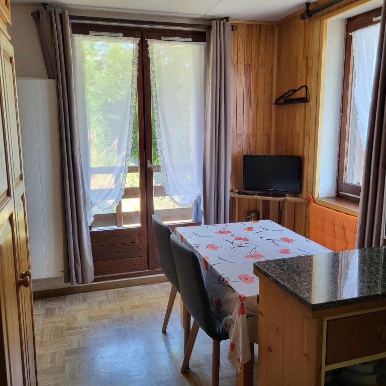 Enjoy appartement pied des pistes 19
