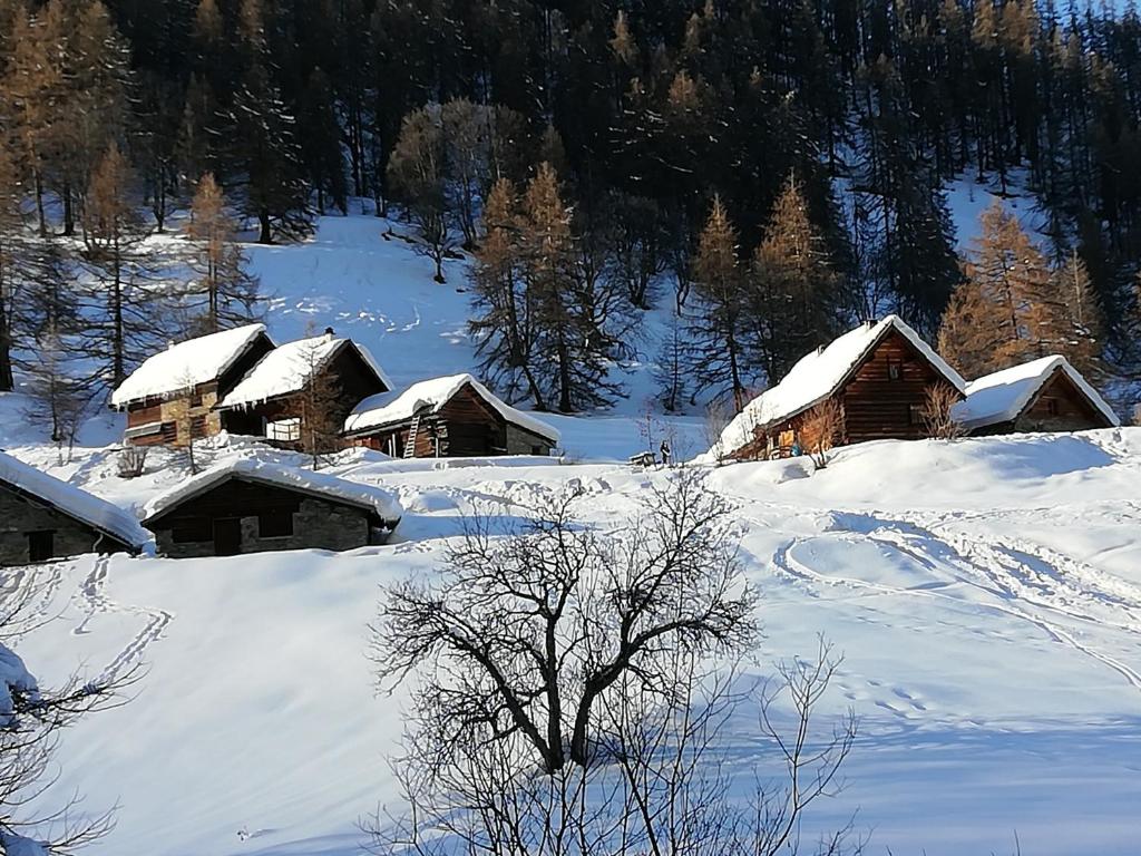 Espace et confort dans station familiale a 1800 m appartement pied des pistes 6
