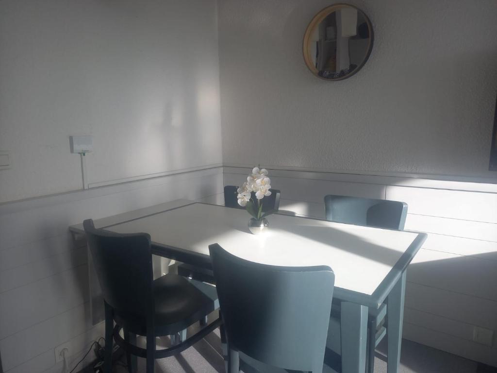 F2 residence Antares appartement pied des pistes 17