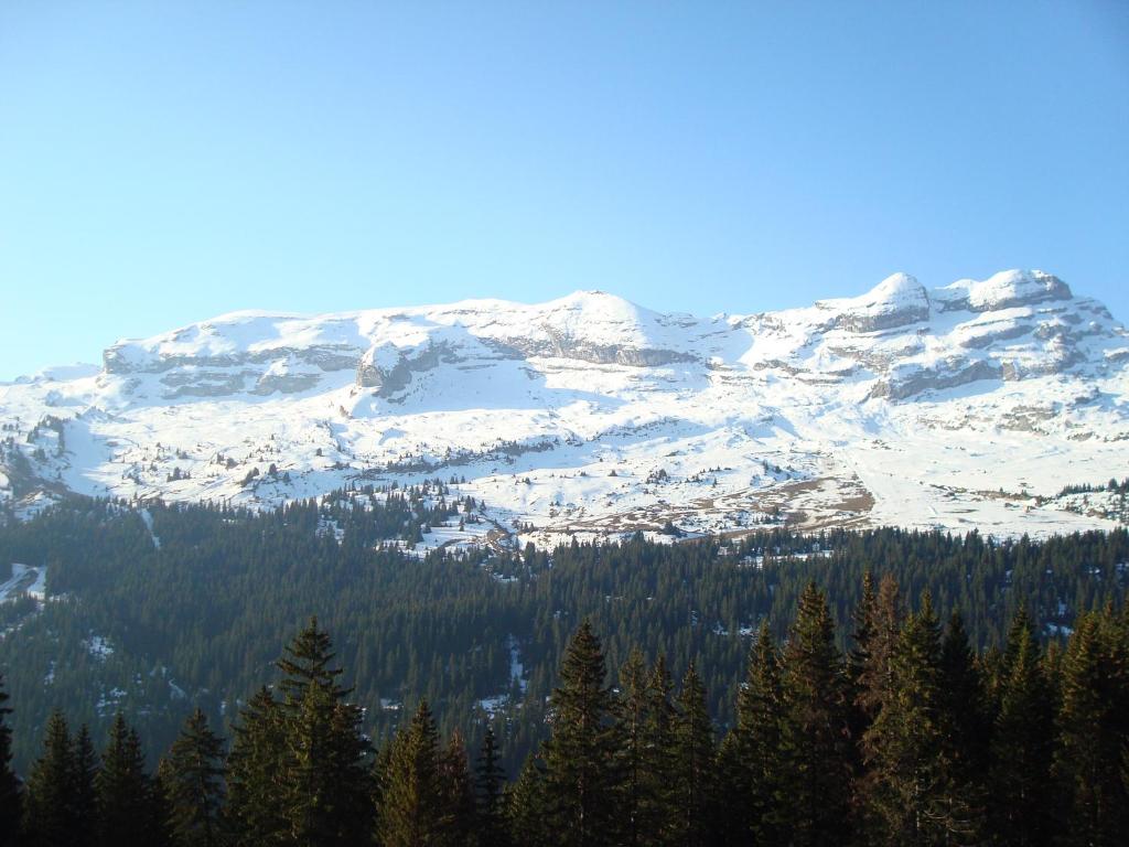 Flaine prime ski in ski out Apartment hotel pied des pistes 8