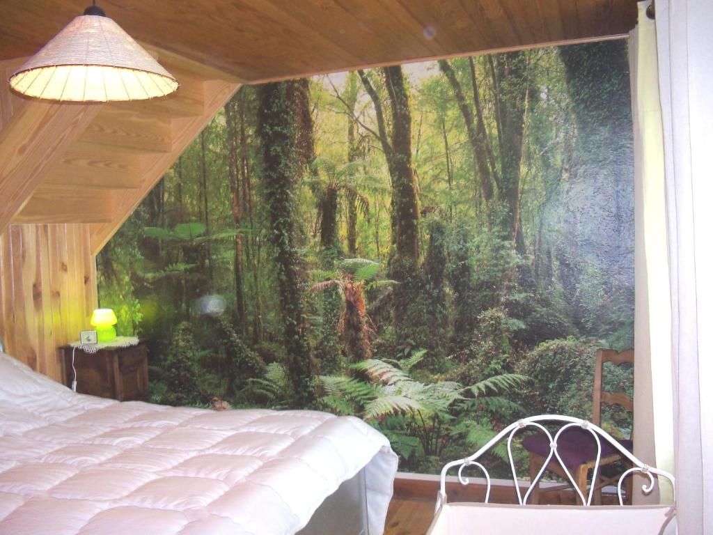 Gite Vacances en Auvergne gite pied des pistes 5