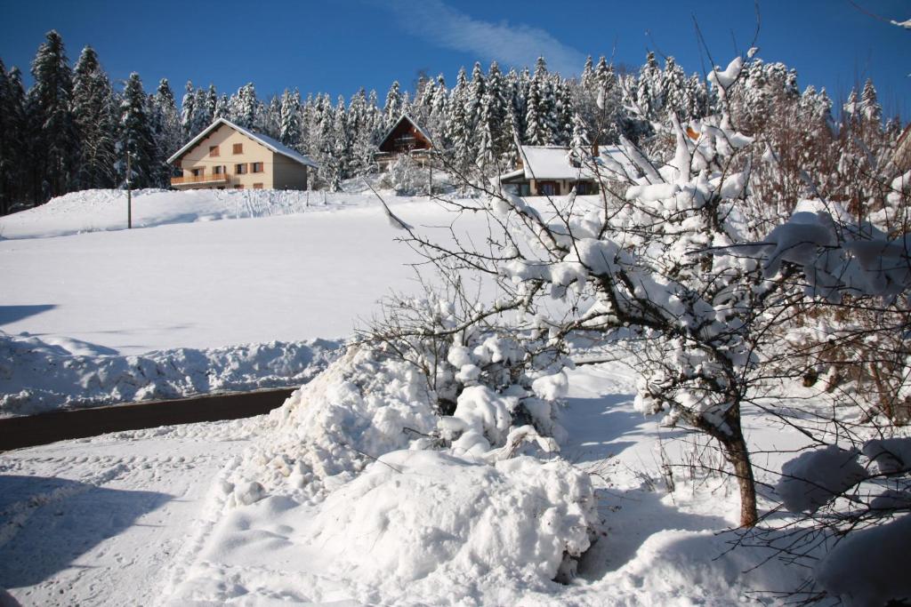 Gite comme a la maison 12 pers La Cabiote gite pied des pistes 8