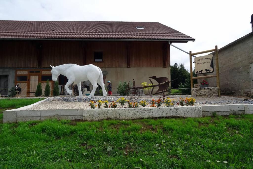 Gite du cheval blanc gite pied des pistes 12