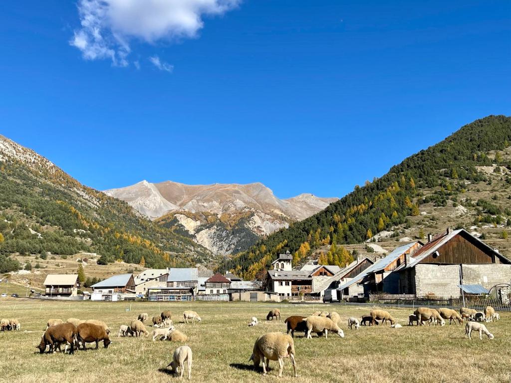 Gite montagne 1 a 25 places Chalet Coste Belle appartement pied des pistes 12