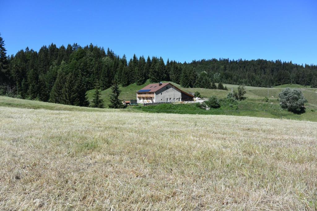 Gites Tre Le Grenier appartement pied des pistes 8