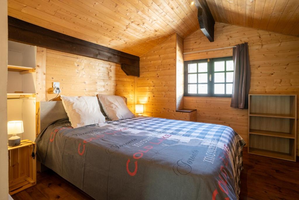 Grand Chalet St Lary centre 13 a 15 pers chalet pied des pistes 1