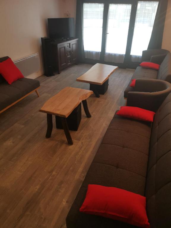 Grand Chalet St Lary centre 13 a 15 pers chalet pied des pistes 4