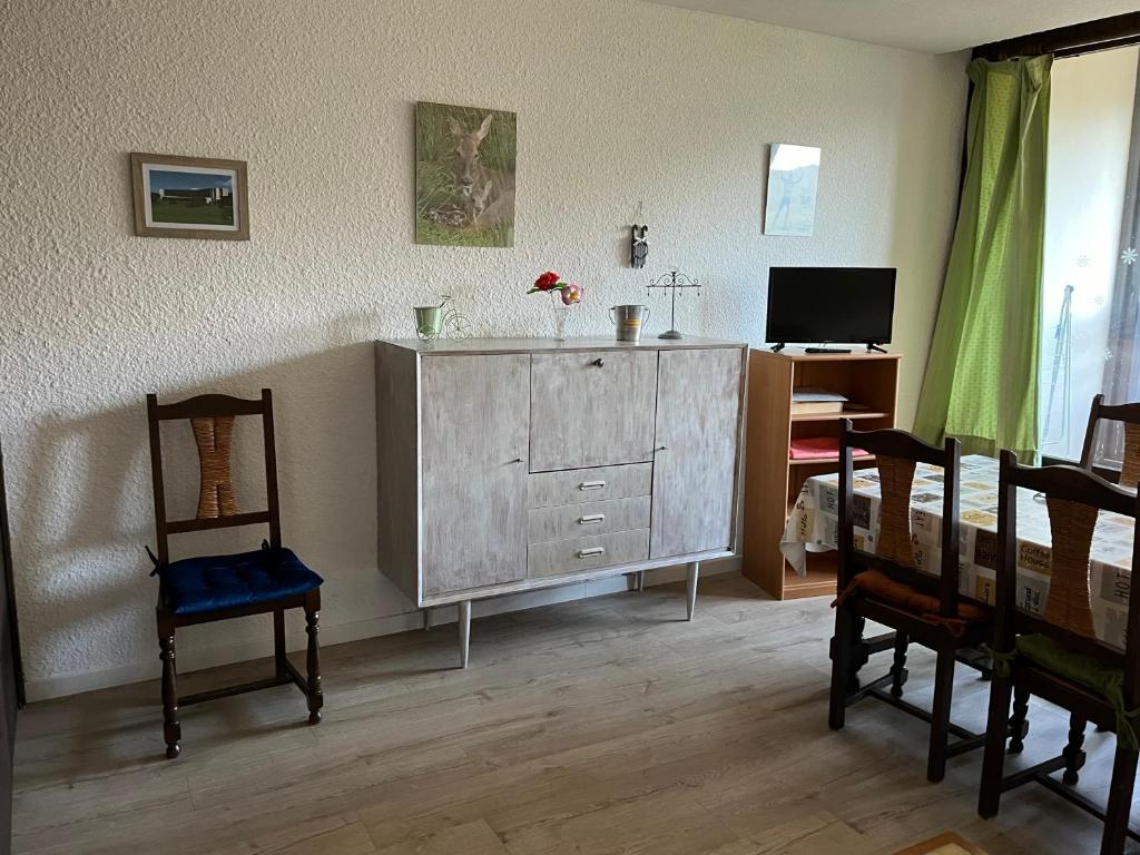 Grand Studio VILLARD DE LANS Les Glovettes appartement pied des pistes 12