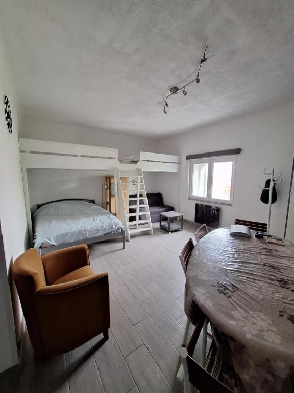 Grand Studio renove tout confort belles prestations Residence du Bois de lOurs appartement pied des pistes 1